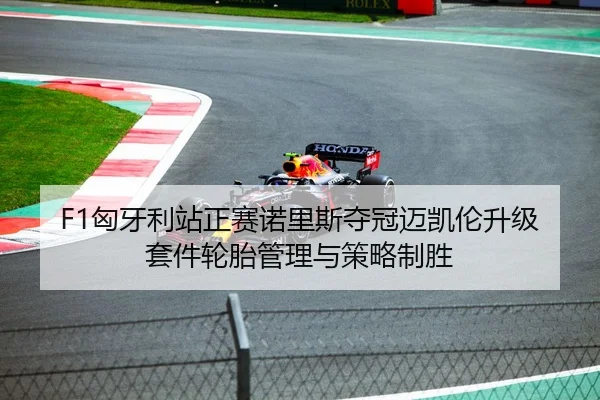 F1匈牙利站正赛诺里斯夺冠迈凯伦升级套件轮胎管理与策略制胜